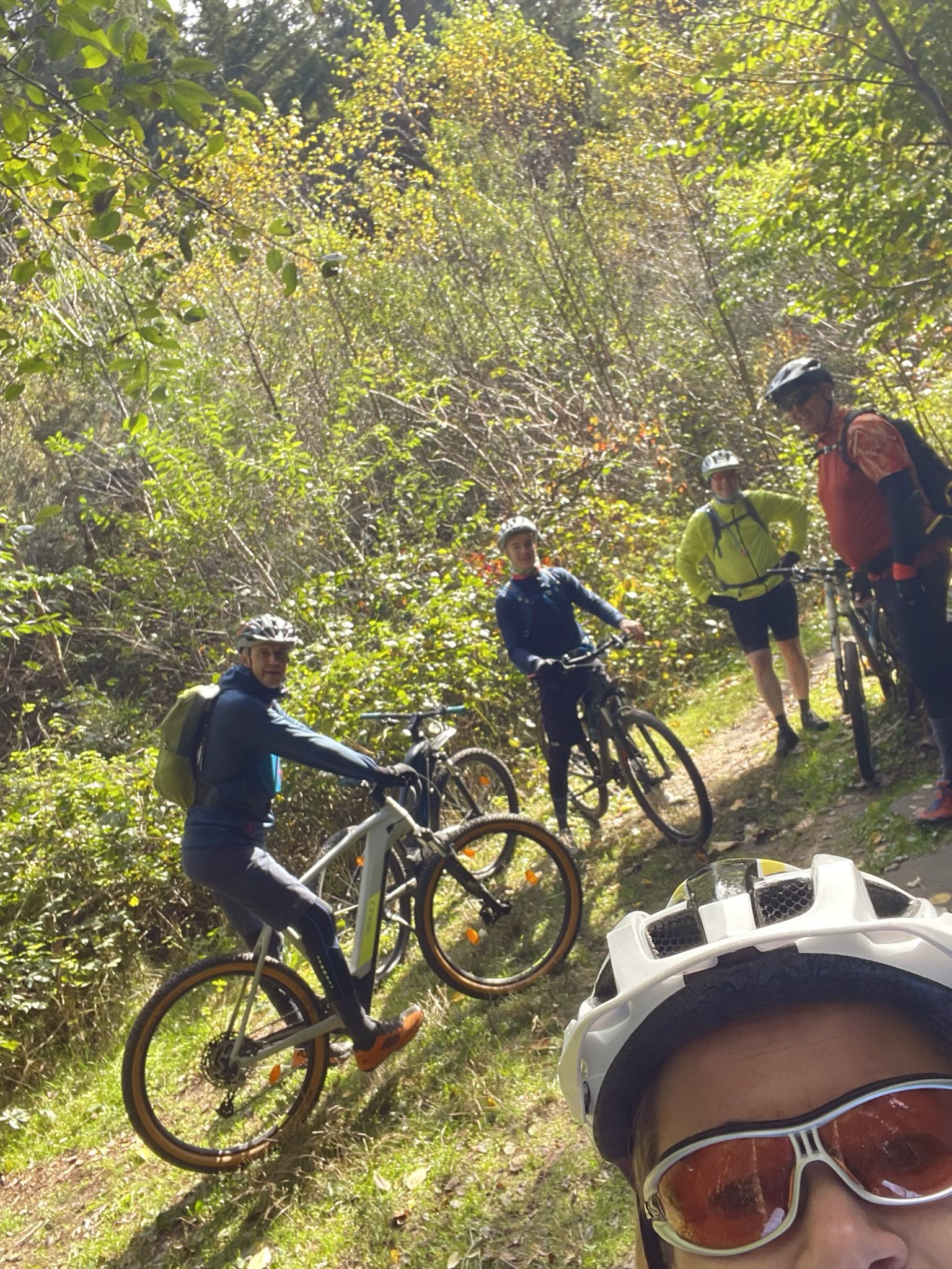 signal 2024 10 20 19 34 40 633 4