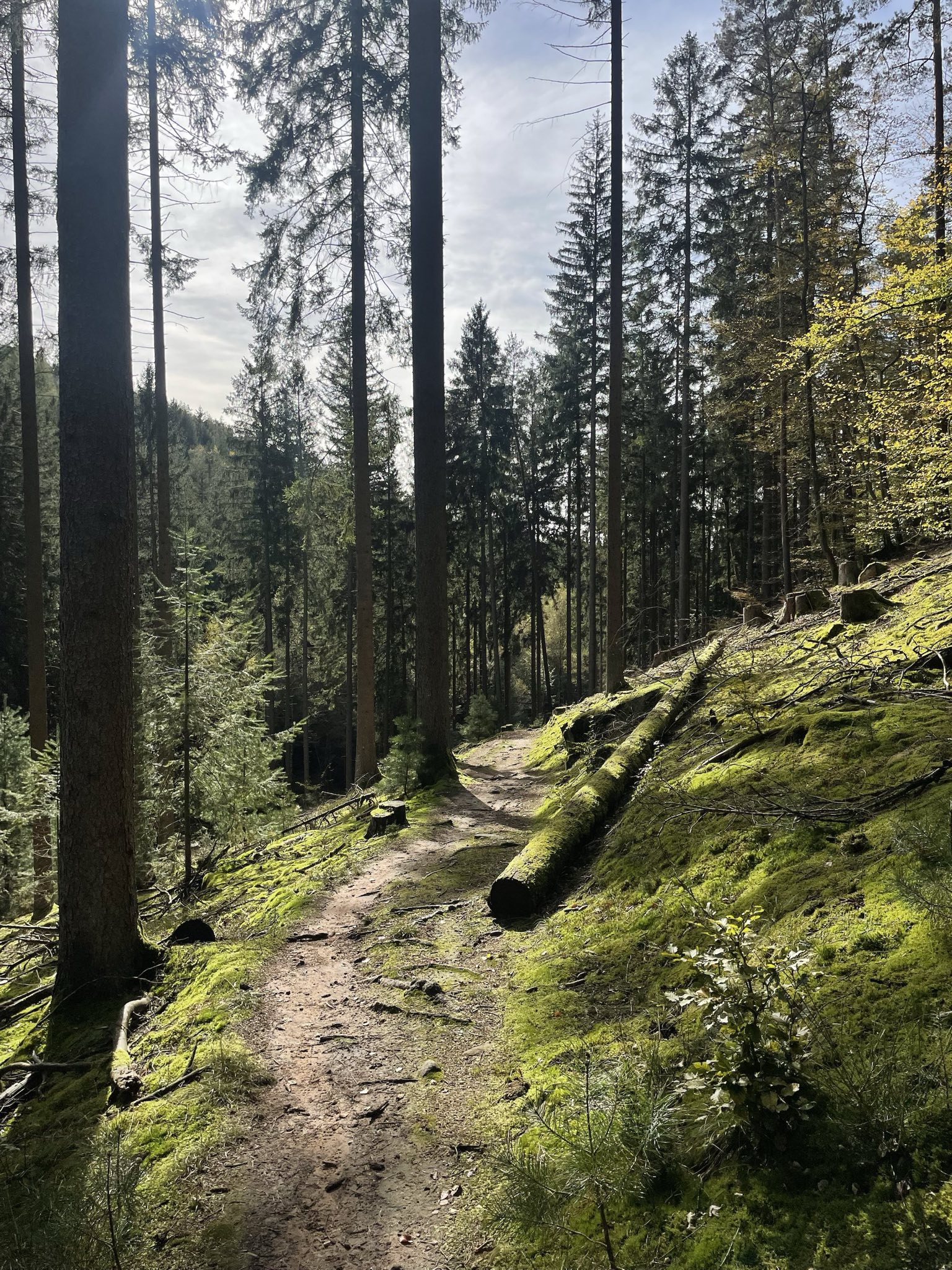 signal 2024 10 20 19 34 40 633 5